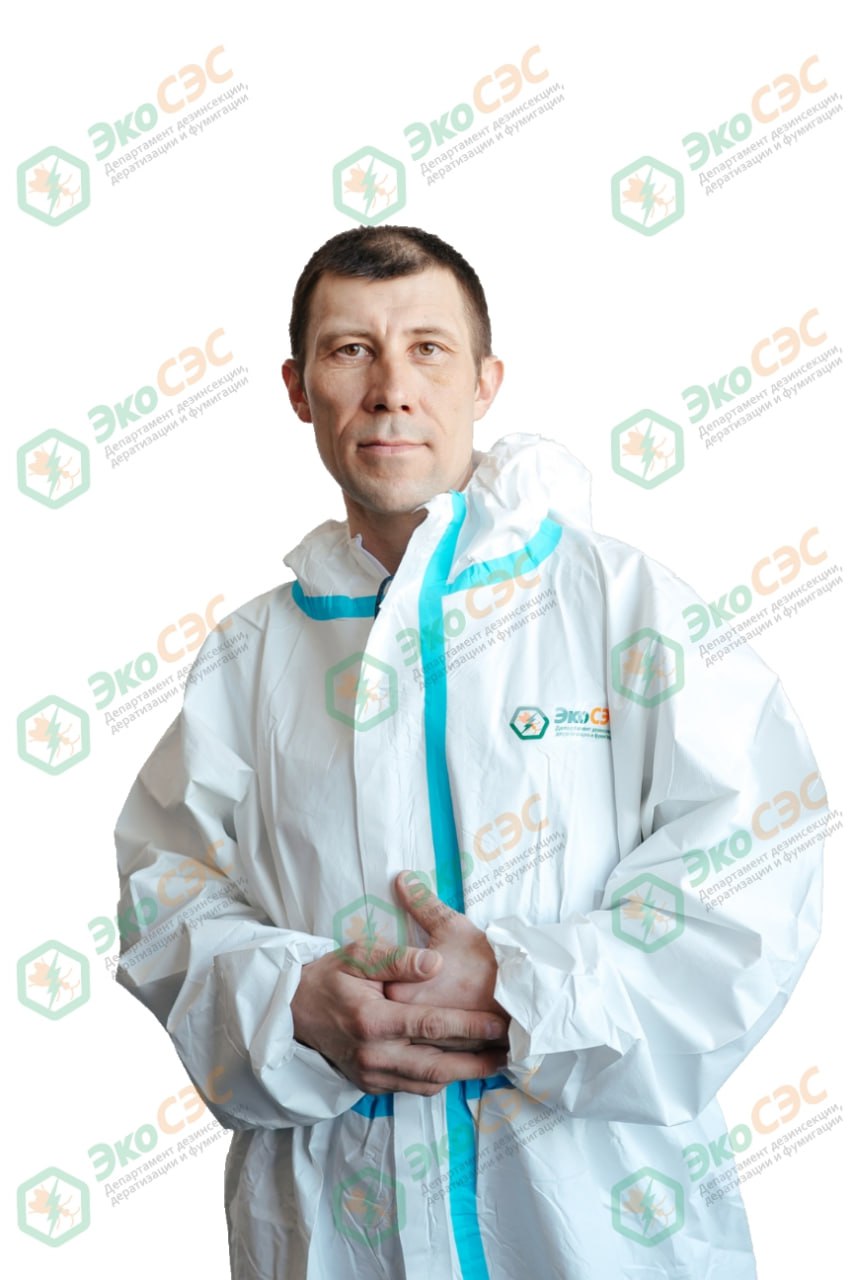 Травит клопов и тараканов